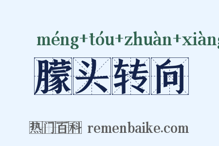 朦头转向是什么意思的图片